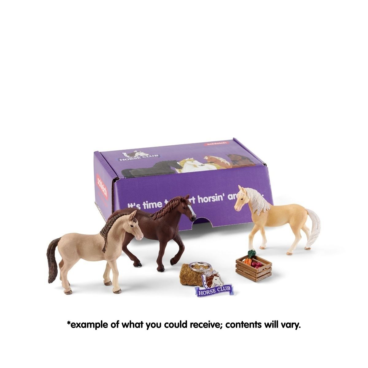 Horse Club Subscription