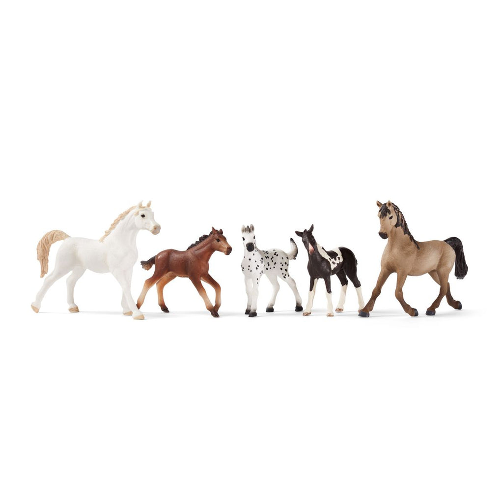 5Piece Horse Collector Bundle 77535 HORSE CLUB schleich