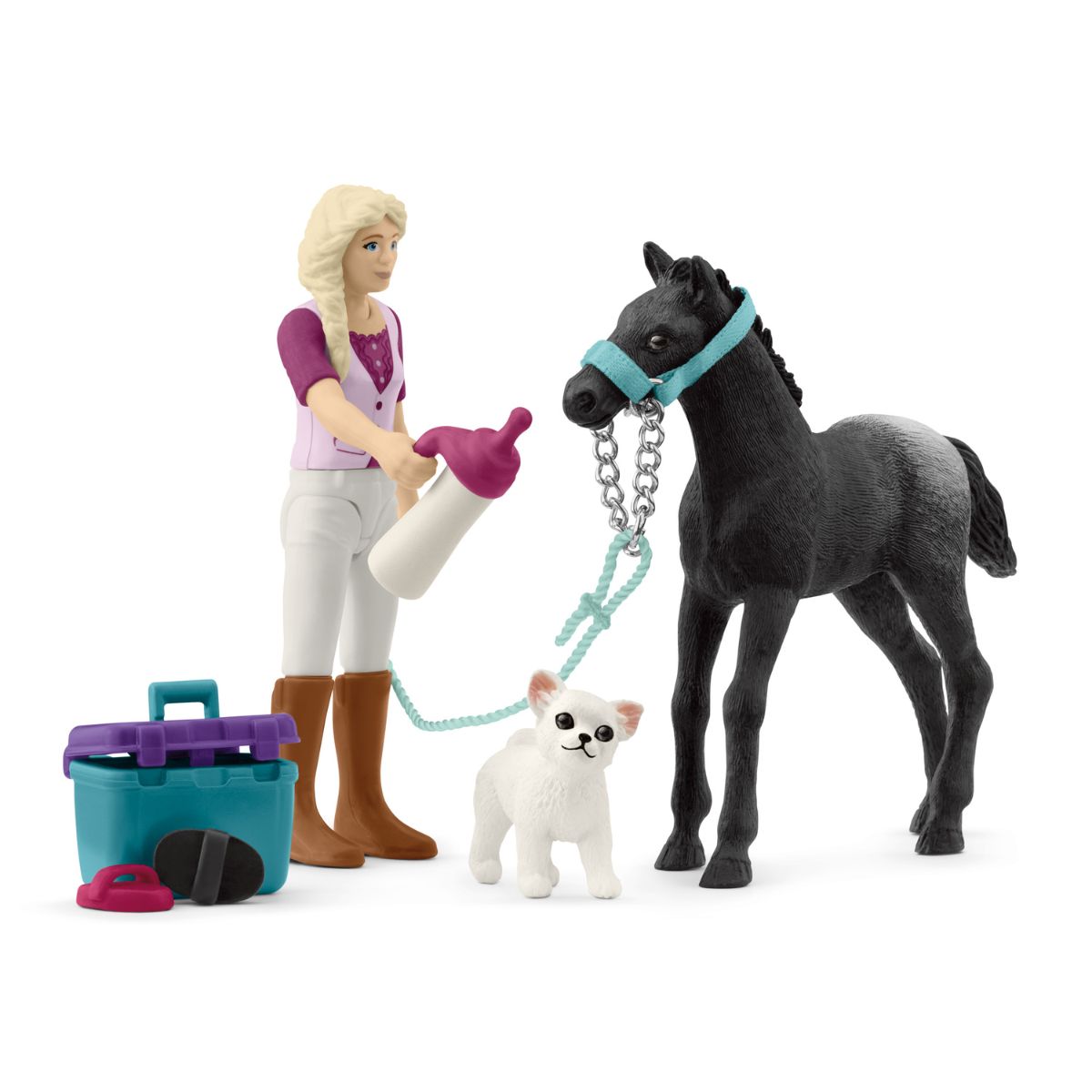 Horse Grooming with Appaloosa Foal