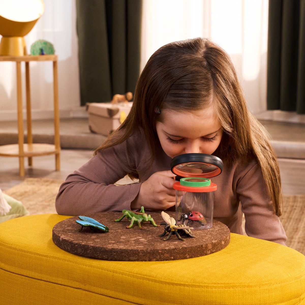 Insects discovery set