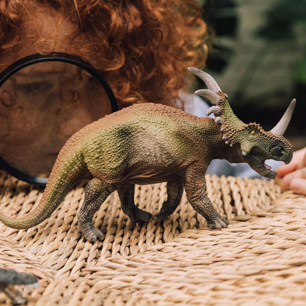 Safari shops ltd styracosaurus