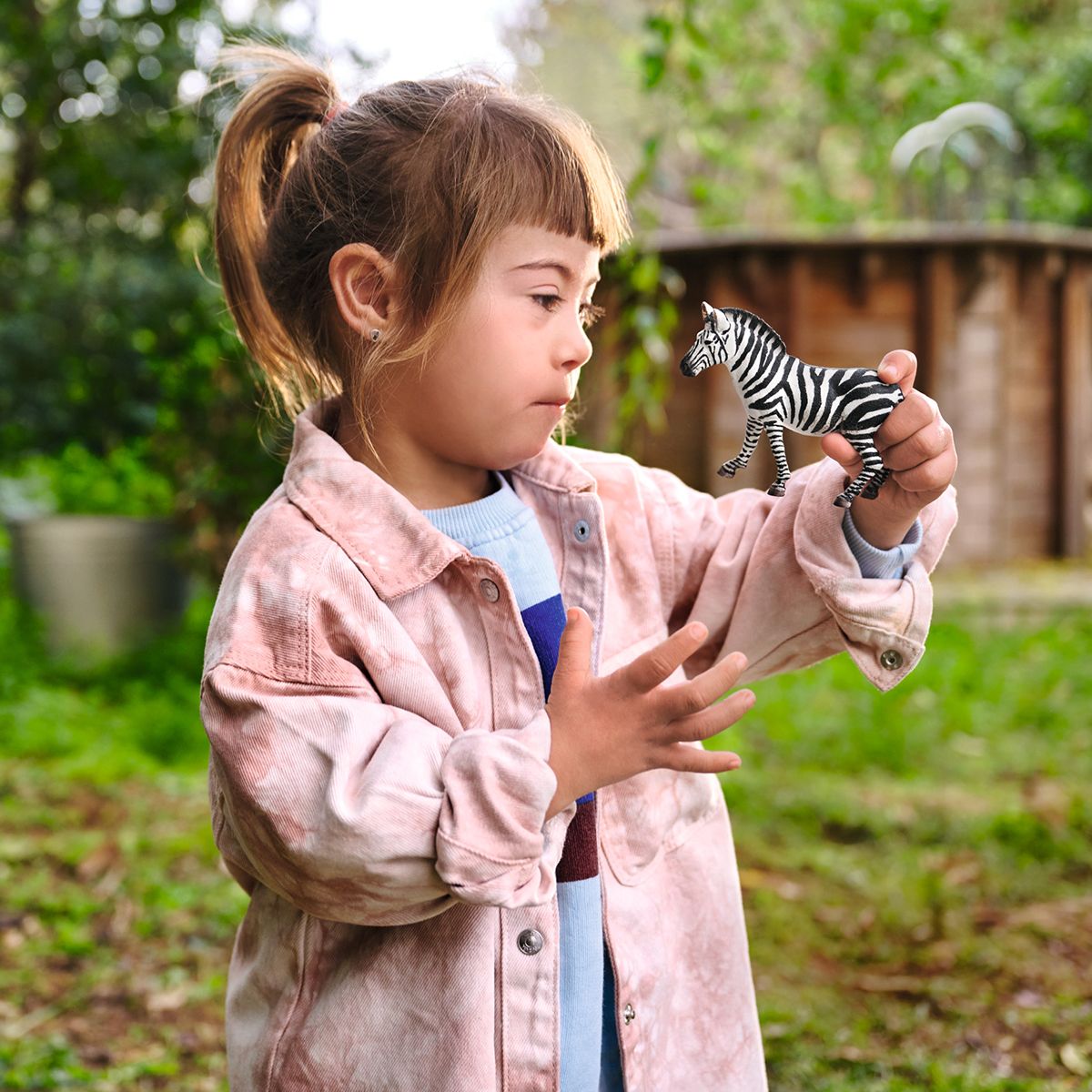 Zebra female