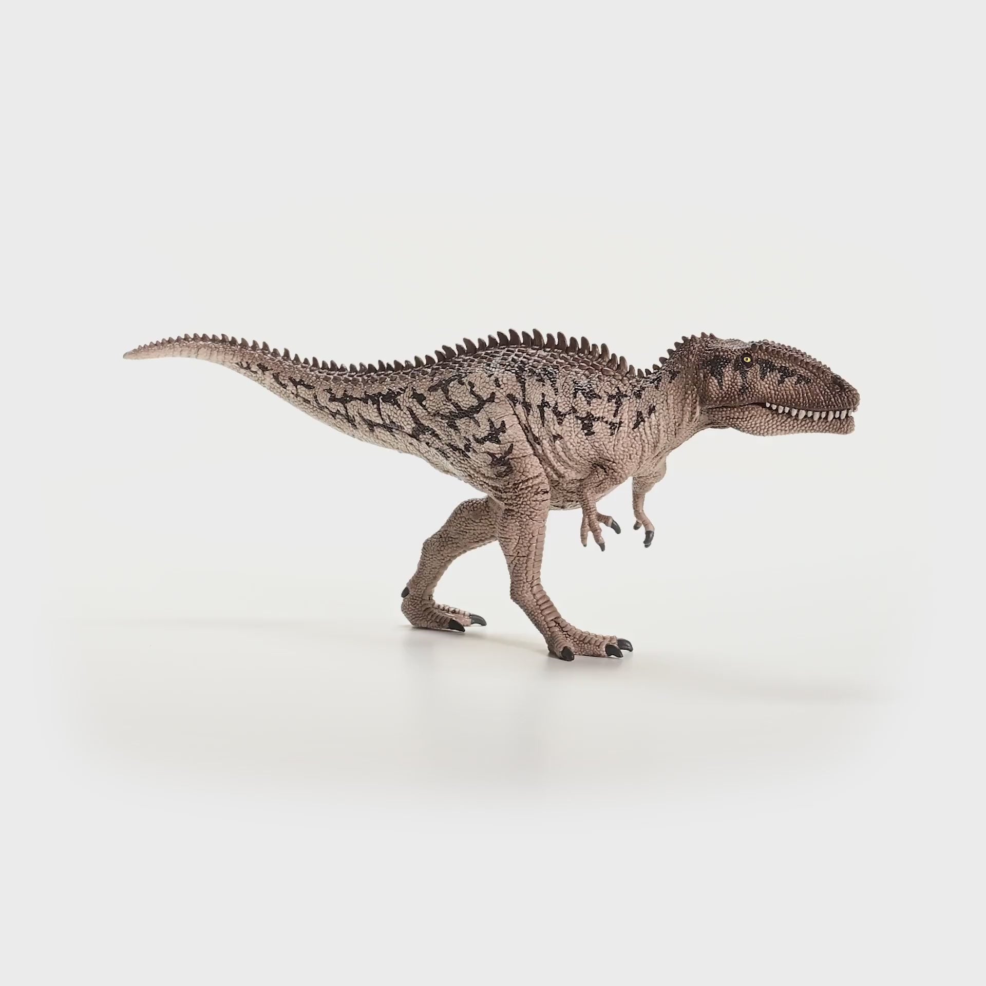 Carcharodontosaurus 15048 | schleich