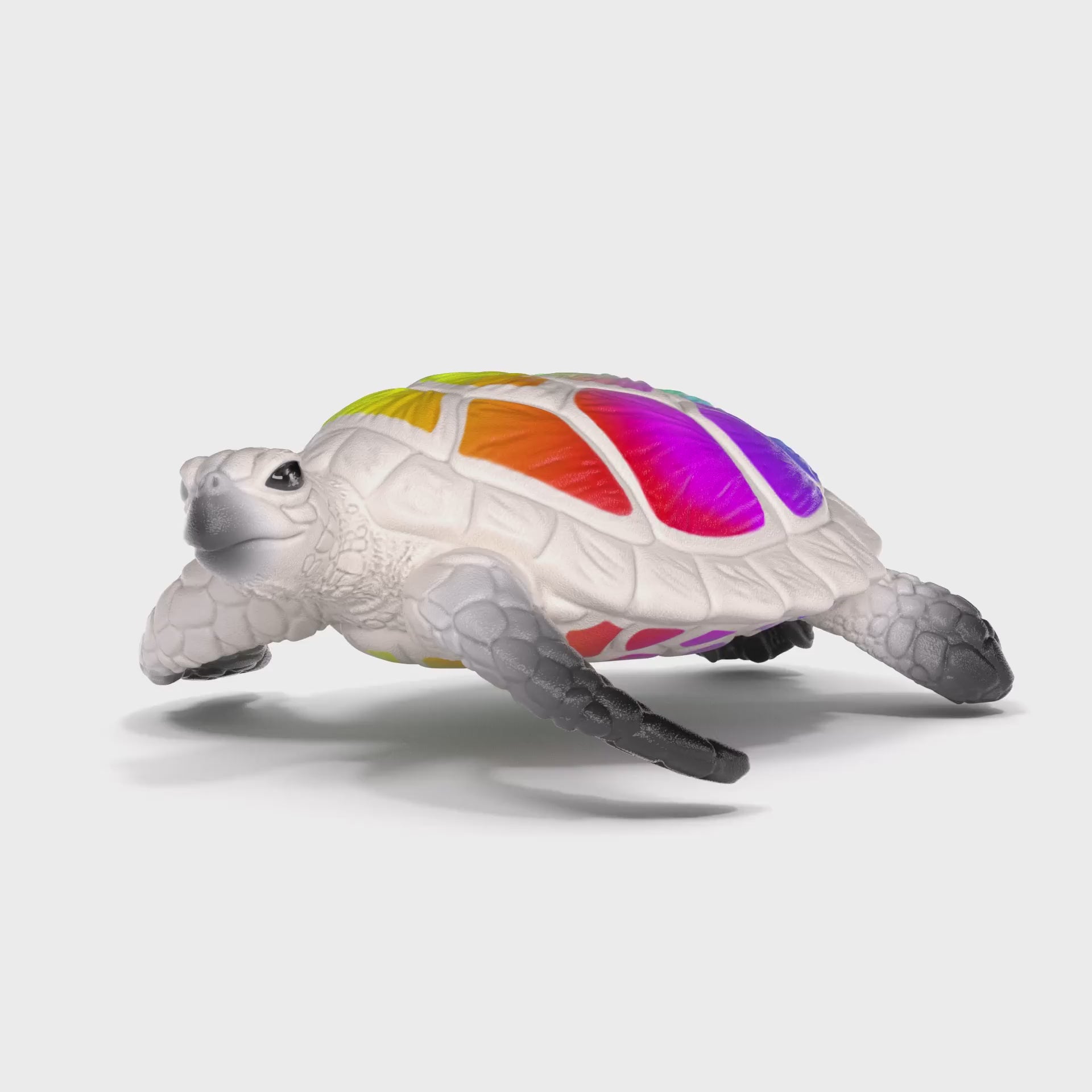 OMMO 新品　SHEER LAYERED TURTLE KT OMMO SHEER LAYERED TURTLE KT