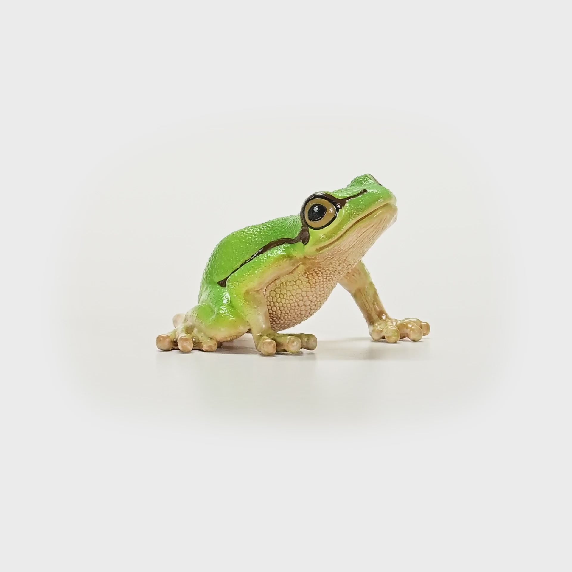 European Tree Frog 14882 | Schleich USA Inc.