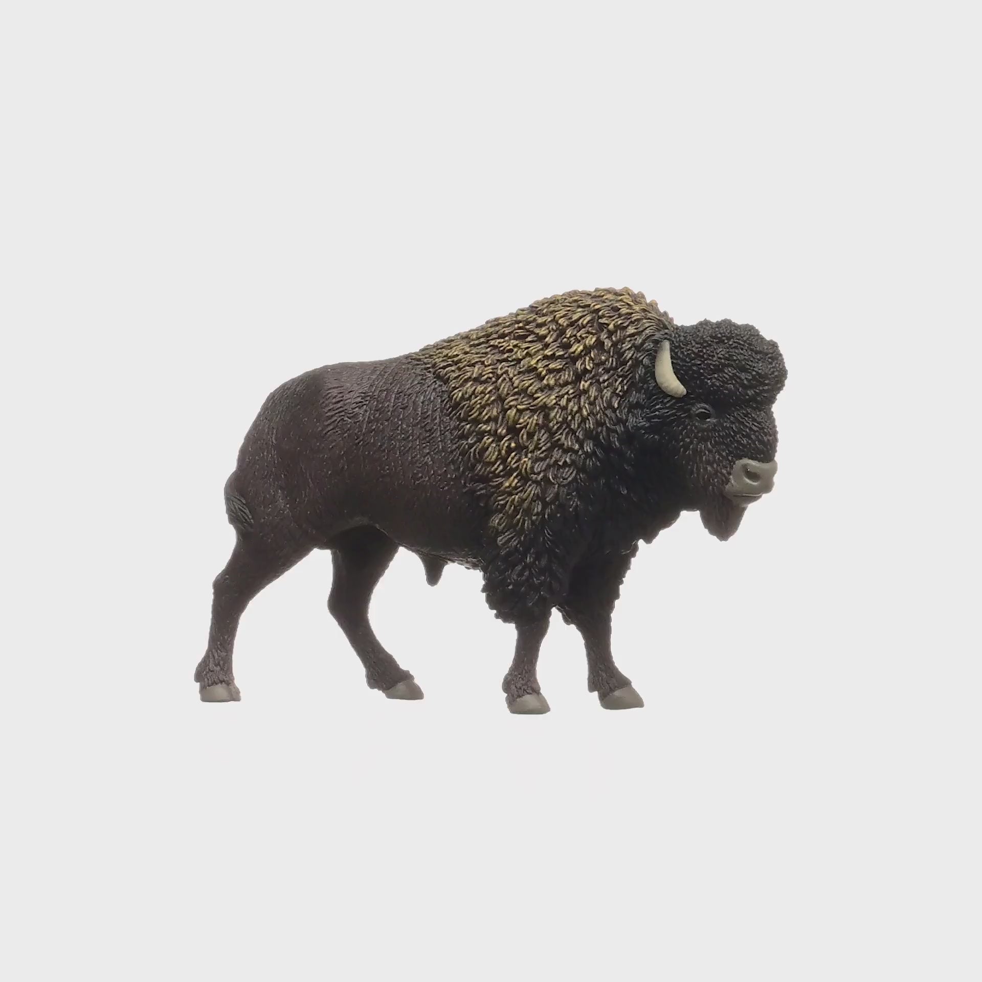 Bison 14879 | Schleich USA Inc.
