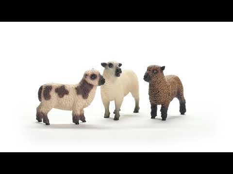 Sheep Friends 42660 FARM WORLD | schleich
