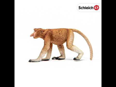 Proboscis Monkey 14846 | schleich