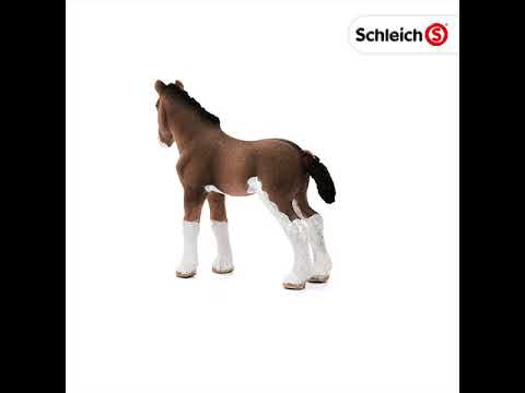 Clydesdale schleich deals