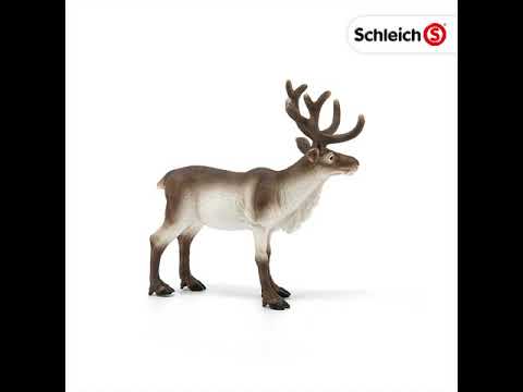 Reindeer 14837 WILD LIFE | schleich