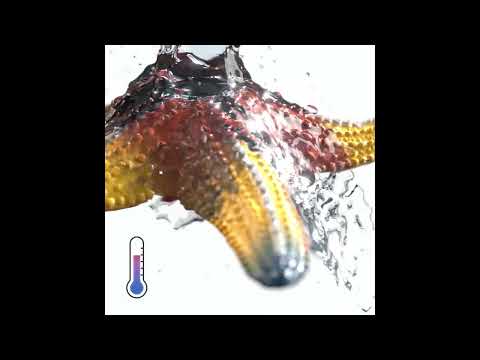 starfishカート Color Changing Starfish 14902 WILD LIFE | Schleich USA Inc.