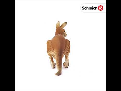 SCHLEICH Wild Life Set: Känguru & Riesenschildkröte – Realistische Spieltiere, Für Kinder 3-8 Jahre