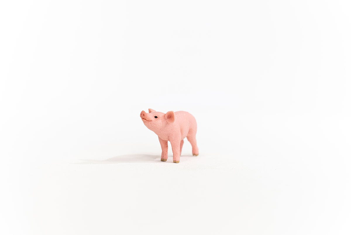 Piglet 13934 | Schleich USA Inc.