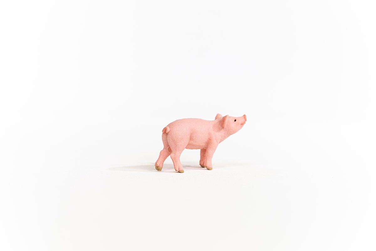 Piglet 13934 | schleich