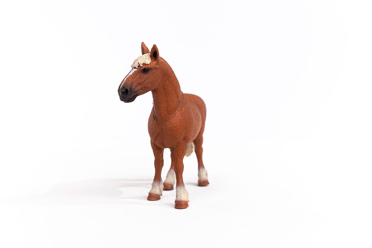 Schleich morgan best sale horse