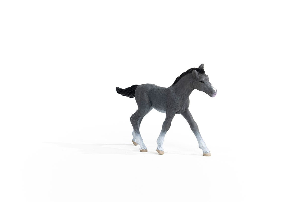 Trakehner Foal 13944 | Schleich USA Inc.