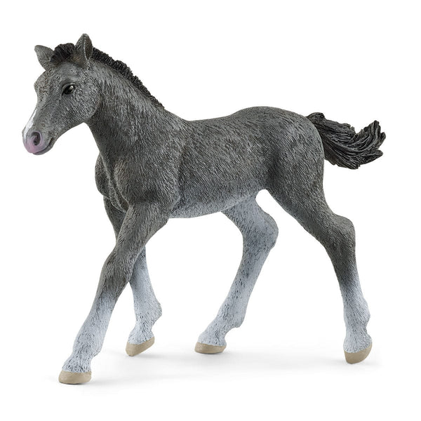 Trakehner Foal 13944 | Schleich USA Inc.
