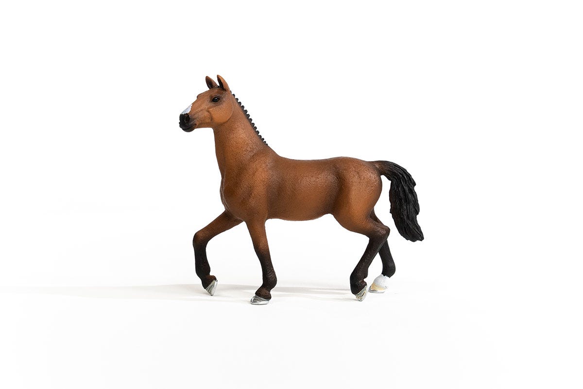 Oldenburger Mare Oldenburger Mare