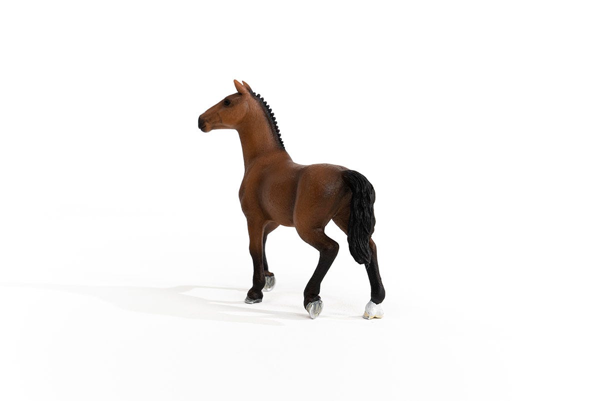Oldenburger Mare Oldenburger Mare