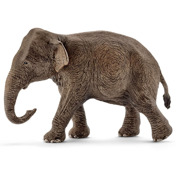 Asian elephant, female 17001 | Schleich USA Inc.