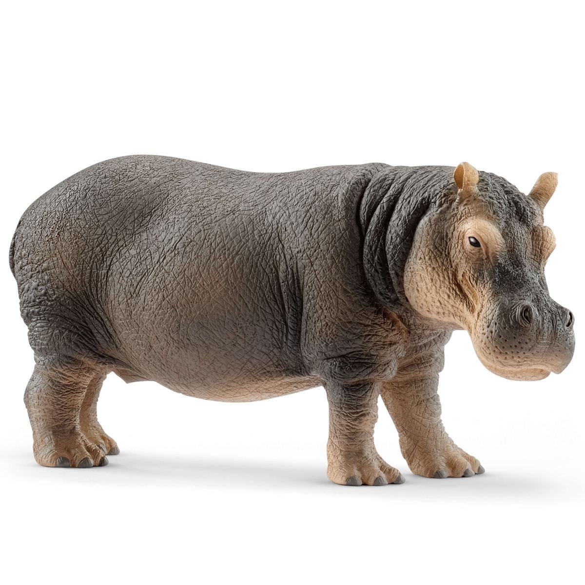 WILD LIFE Safari toys | schleich®