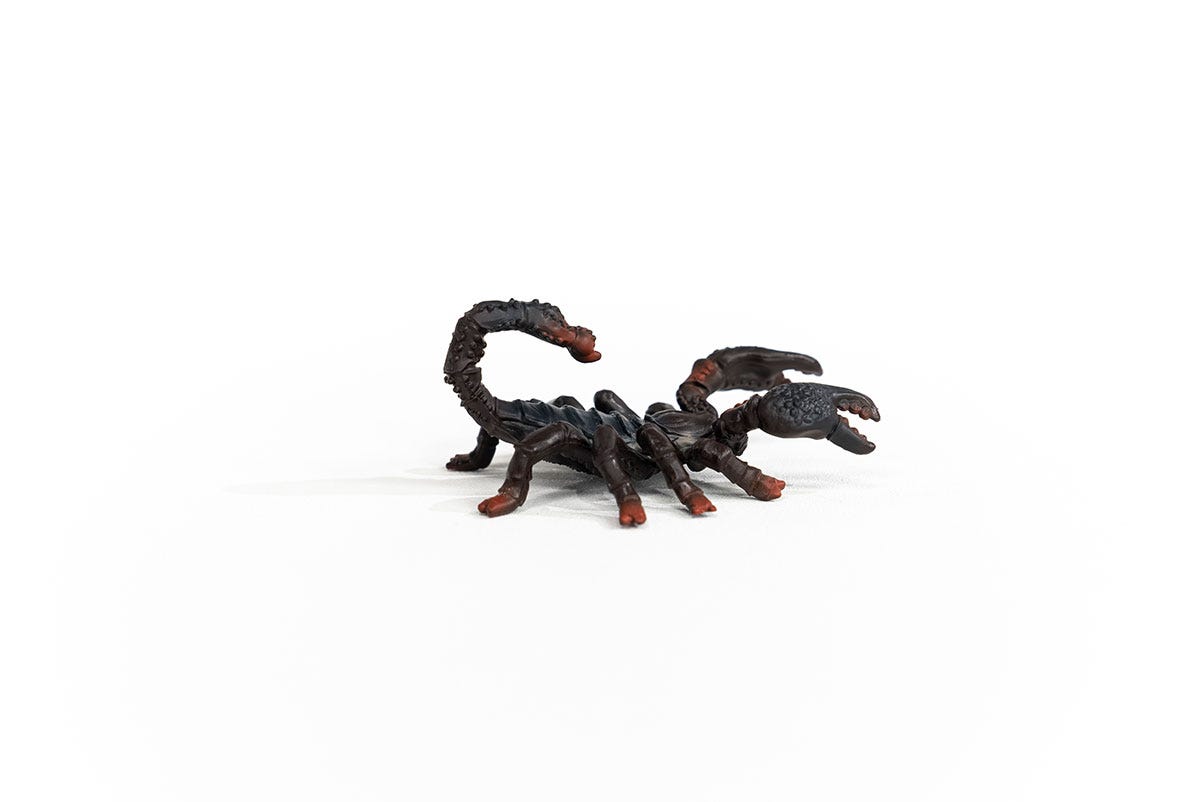 Emperor Scorpion 14857 WILD LIFE | schleich Emperor Scorpion 14857 WILD LIFE | schleich
