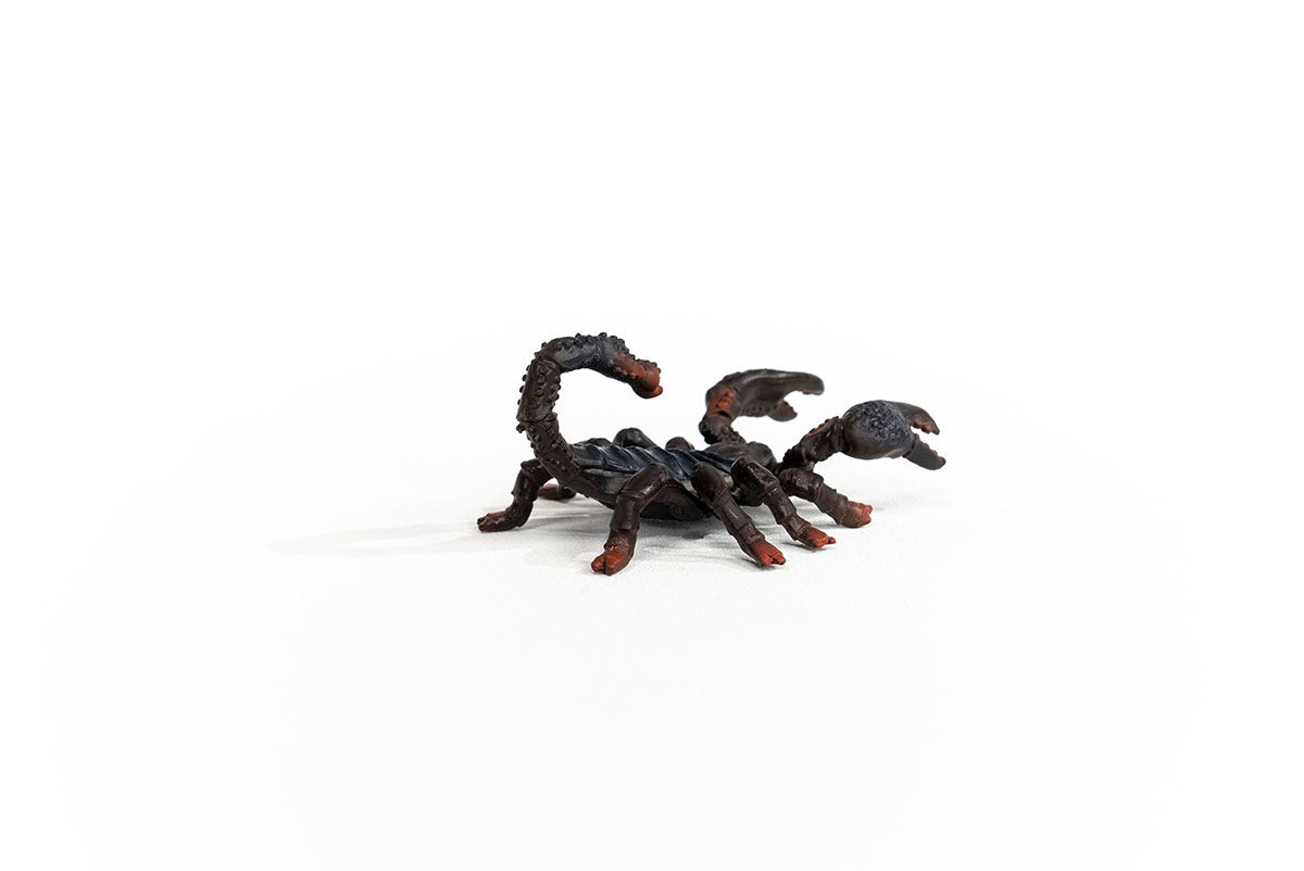 Emperor Scorpion 14857 WILD LIFE | schleich