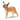 Caracal Baby