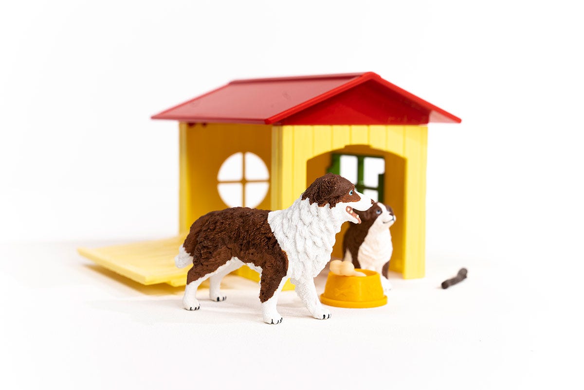 Toy dog outlet kennel