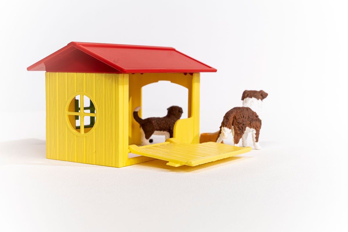 Toy dog clearance house