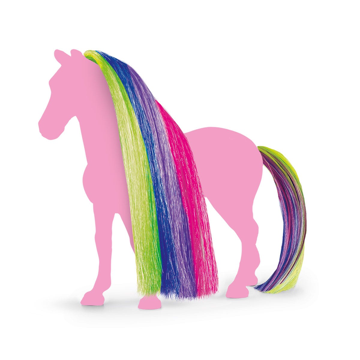 Hair Beauty Horses Rainbow