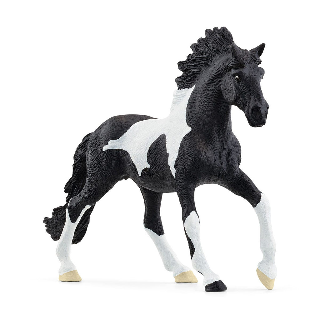 Rodeo Show 42679 FARM WORLD | schleich