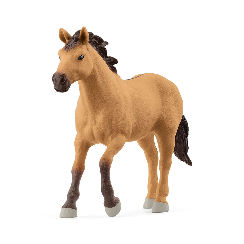 Rodeo Show 42679 FARM WORLD | schleich