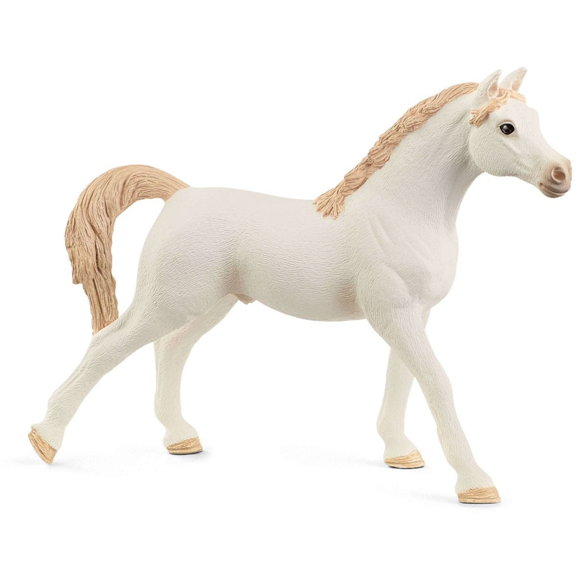 Arabian Stallion, white
